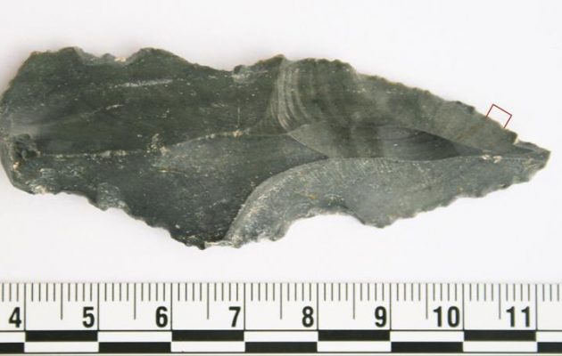 Ζωικά ίχνη πάνω σε λίθινα εργαλεία ηλικίας 250.000 ετών!