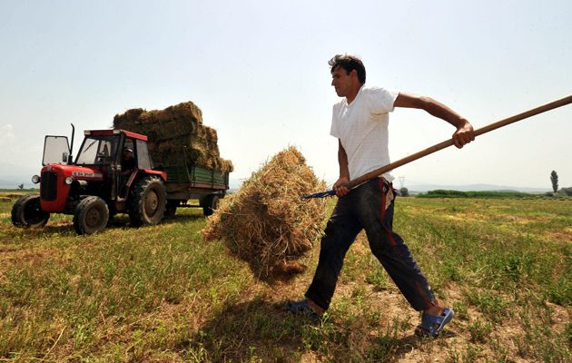 Πώς μπορούν οι αγρότες να ρυθμίσουν «κόκκινα» δάνεια με κούρεμα ως 60%