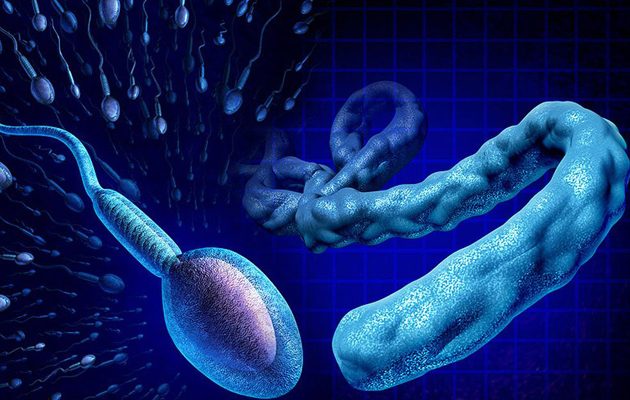 Πάνω από 1 χρόνο μένει ο ιός Έμπολα στο σπέρμα