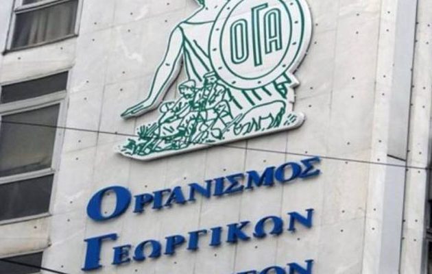 ΟΓΑ: Ποιοι δικαιούνται ειδικό επίδομα έως 360 ευρώ