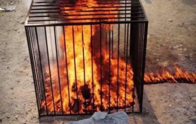 Το Ισλαμικό Κράτος έκαψε ζωντανούς 20 νεαρούς επειδή αρνήθηκαν να γίνουν τζιχαντιστές