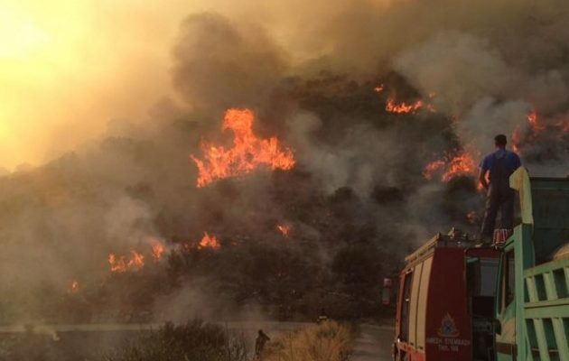 Τραγωδία στη Βοιωτία: Νεκρός 43χρονος πυροσβέστης