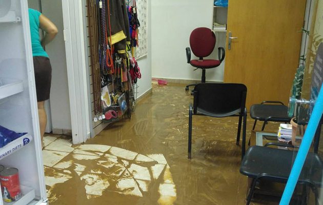 Και τέταρτο θύμα από το κύμα κακοκαιρίας – Νεκρός 77χρονος βοσκός