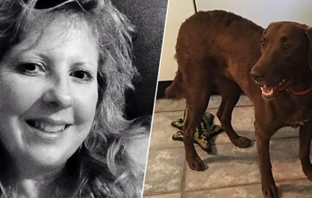 Αυτή είναι είδηση: Σκύλος μαχαίρωσε γυναίκα!