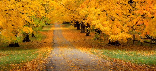 Φθινόπωρο τη Δευτέρα