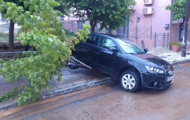 Θρίλερ με την αγνοούμενη από τη θεομηνία – Τραγωδία με τέσσερις νεκρούς