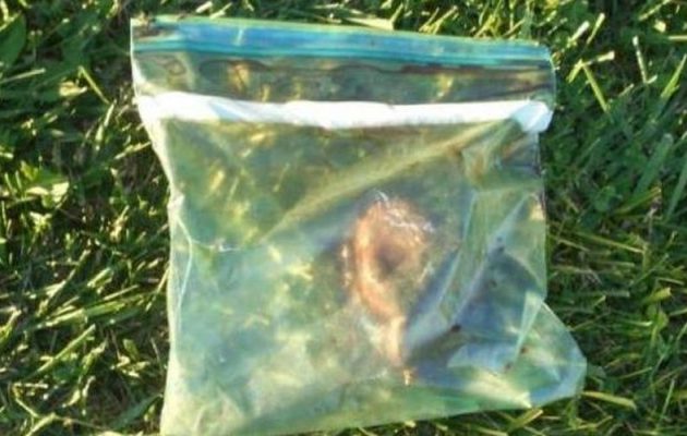 Ανθρώπινη καρδιά βρέθηκε μέσα σε σακούλα σε βενζινάδικο