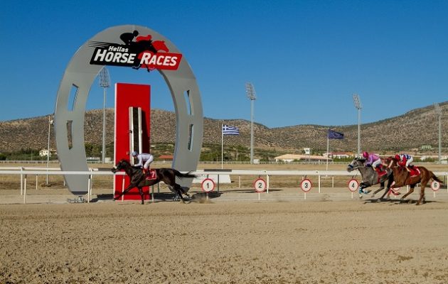 Ιπποδρομίες ΑΕ: Δημοπρασία 23 καθαρόμαιων ίππων στο Μαρκόπουλο