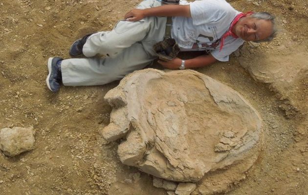 Βρέθηκε απολιθωμένη πατημασιά δεινοσαύρου μήκους ενός μέτρου
