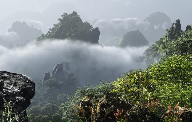 Χάνονται τα δάση στη Νικαράγουα – Σε 10-15 χρόνια δεν θα υπάρχει ούτε… δέντρο