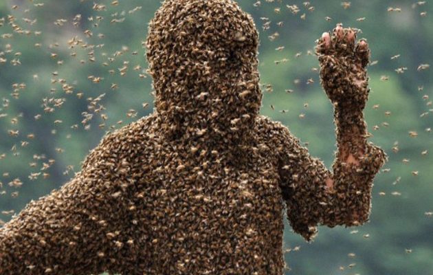 Σμήνος μελισσών επιτέθηκε σε γυναίκα και εκείνη κάθεται ατάραχη (βίντεο)