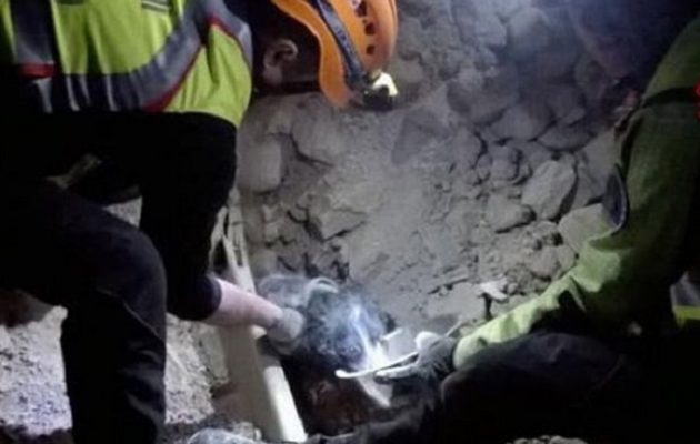 Συγκινητικές στιγμές: Διέσωσαν σκύλο από τα ερείπια που άφησε ο σεισμός στην Ιταλία (βίντεο)