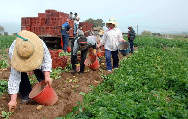 Τι ασφαλιστικές εισφορές θα πληρώσουν οι αγρότες που απασχολούνται ως μισθωτοί