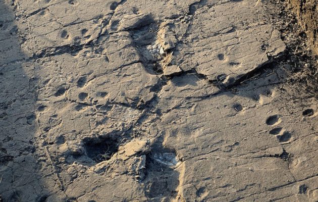 Τανζανία: Απολιθωμένες πατημασιές προγόνων του ανθρώπου ηλικίας 3,7 εκατ. ετών