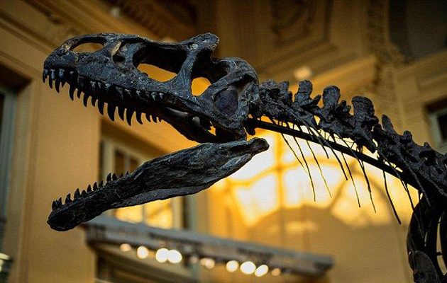 Σκελετός δεινοσαύρου πουλήθηκε σε δημοπρασία για 1,1 εκατ. ευρώ!