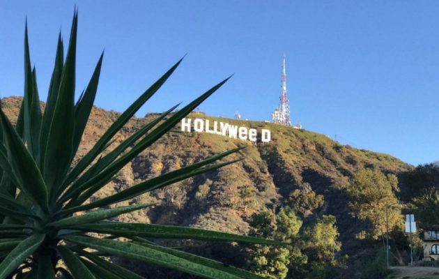 Τι “πίνουν”; – Έκαναν το Hollywood… Hollyweed (φωτο)