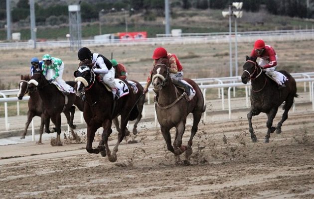 ΟΠΑΠ: Πόλος έλξης ο ιππόδρομος στο Μαρκόπουλο παρά το πολικό ψύχος