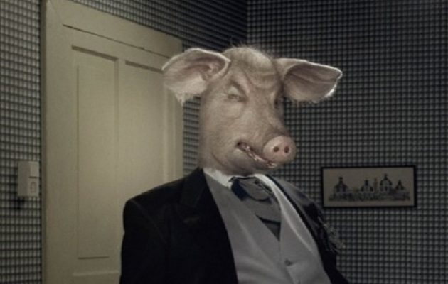 Τρέλα: Γιατί επιστήμονες στις ΗΠΑ  άρχισαν να δημιουργούν γουρουνάνθρωπο!