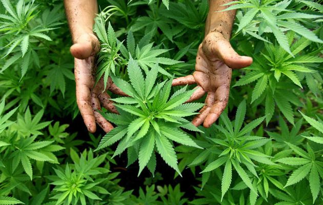 Ποια πόλη είναι πρωταθλήτρια στη χρήση ναρκωτικών – Τι έδειξε έρευνα