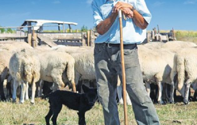 Ειρηνοδικείο διέγραψε χρέος-μαμούθ 496.000 ευρώ σε κτηνοτρόφο