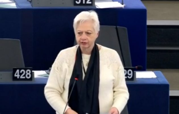 Ελένη Θεοχάρους: Η Αλβανία δεν “βλέπει” ΕΕ εάν δεν σεβαστεί την ελληνική μειονότητα