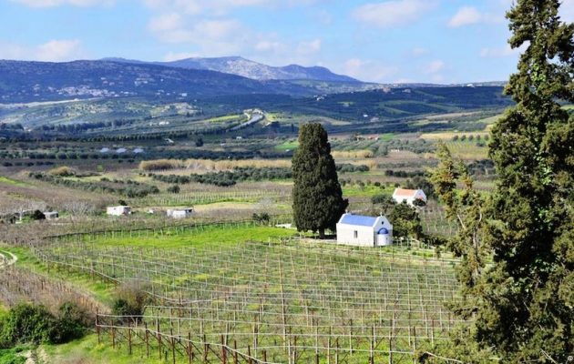 Ο όμιλος TUI φέρνει στην Κρήτη τουρίστες για να ζήσουν αυθεντικές εμπειρίες