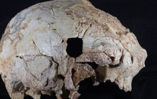 Επιστήμονες ανακάλυψαν κρανίο 400.000 ετών