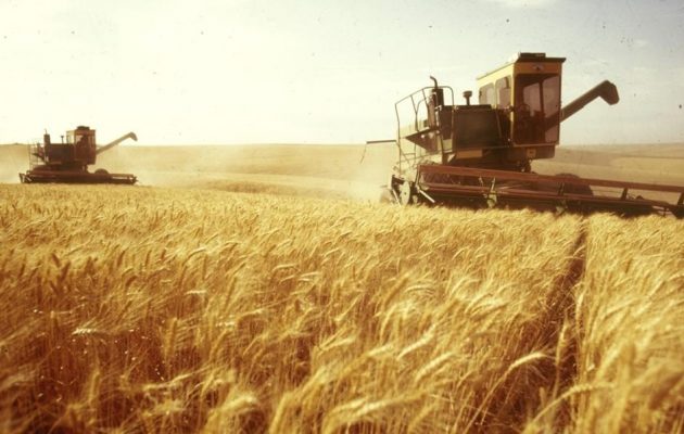 Η Γερμανία ανησυχεί για την επισιτιστική ασφάλεια λόγω Ουκρανίας