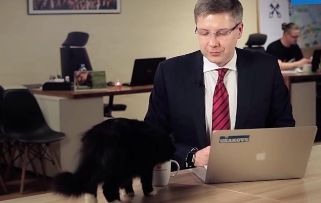 Πώς μια… γάτα έκλεψε την παράσταση σε μια βαρετή συνέντευξη Τύπου (βίντεο)