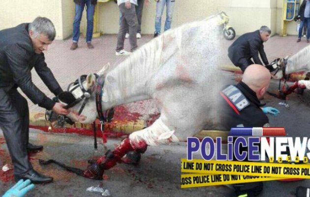 Ταξί συγκρούστηκε με άμαξα στο κέντρο της Αθήνας – Τραυματίστηκε σοβαρά ένα άλογο