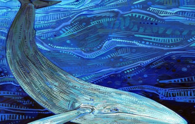 Αυξάνει η ανησυχία: Νέο κρούσμα της “μπλε φάλαινας” στο Πολύκαστρο Κιλκίς