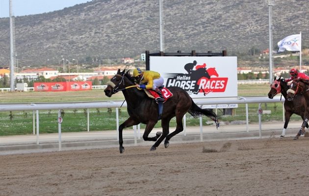 Ιπποδρομιακό διήμερο στο Μαρκόπουλο – Το ΣΚΟΡ 6 μοιράζει 20.000 ευρώ κάθε ημέρα