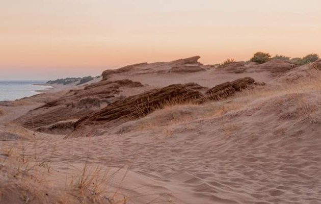 44 μετανάστες βρέθηκαν νεκροί σε έρημο στον βόρειο Νίγηρα