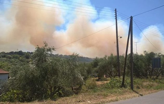 Μεγάλη πυρκαγιά στη Μεσσηνία – Οι φλόγες πλησιάζουν σπίτια