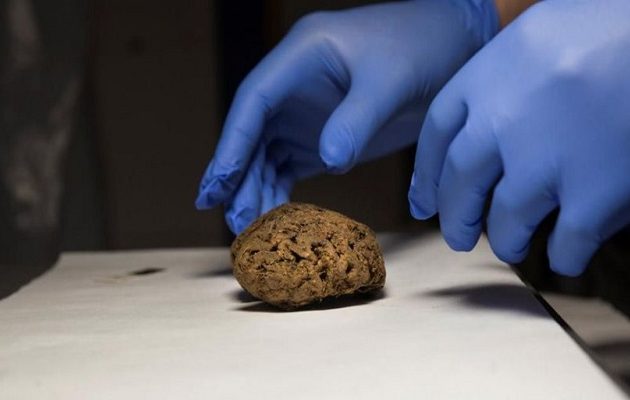 Ισπανία: Βρέθηκαν φυσικά  διατηρημένοι εγκέφαλοι σε μαζικό τάφο από τον εμφύλιο πριν 80 χρόνια