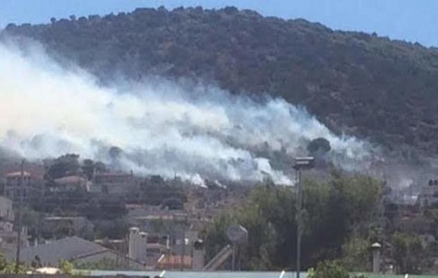 Σε εξέλιξη πυρκαγιές σε Αρτέμιδα Αττικής και Καλίτσαινα Μεσσηνίας