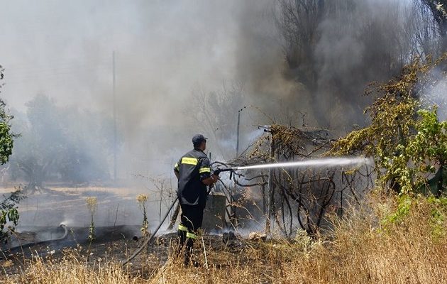 Μεγάλη πυρκαγιά σε εξέλιξη σε  δασική έκταση  στον Ωρωπό