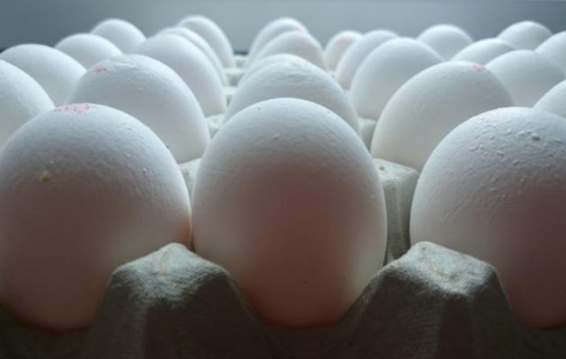 Συλλήψεις για το σκάνδαλο με τα μολυσμένα αυγά στην ΕΕ – Στο στόχαστρο η Ολλανδία