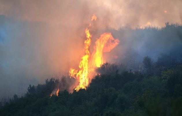 Συνεχείς αναζωπυρώσεις δεν αφήνουν την πυρκαγιά να σβήσει – “Φυτρώνουν” φωτιές