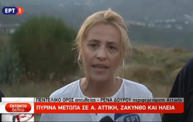 Οργή Δούρου για την αντιπολίτευση από τις… ξαπλώστρες – Σκληρή ανακοίνωση για τη Φώφη του… τίποτε (βίντεο)