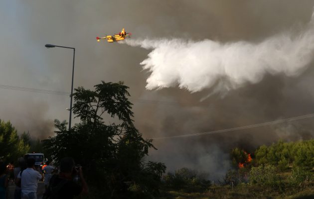 Σύσκεψη Τόσκα-Τζανακόπουλου: “Την Τετάρτη θα κάνουμε την τελική επίθεση στις πυρκαγιές”