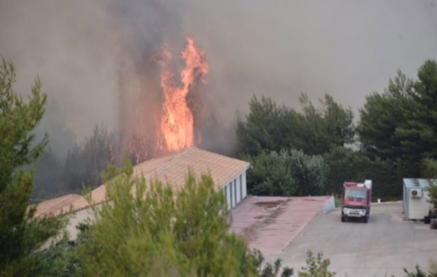 Η φωτιά επεκτείνεται με ταχύτητα και απειλεί όλη την Ανατολική Αττική (βίντεο)