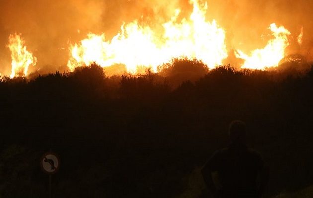 Καύσωνας και φονικές πυρκαγιές στην Ιταλία – Νεκρή μια 79χρονη