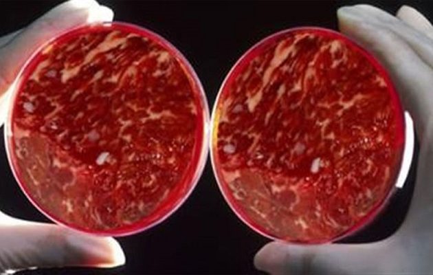 Εταιρία θα παράγει τεχνητό κρέας