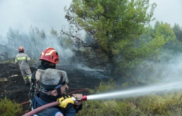 Φωτιά στον Βύρωνα κοντά στην Καισαριανή