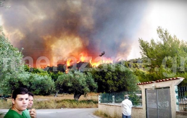 Ζάκυνθος: Κάηκε σπίτι στην Αναφωνήτρια – Οι φλόγες εξαπλώνονται σε Μαριές και όρος Σκοπός