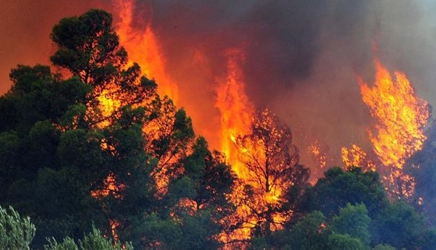 Με το χέρι στις σειρήνες οι πυροσβέστες – Υψηλός κίνδυνος πυρκαγιάς