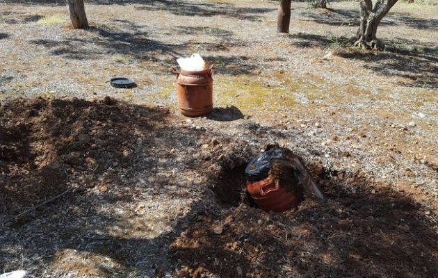 Γιατί έσκαβαν οι αστυνομικοί σε χωράφι με ελαιόδενδρα στη Λαμία