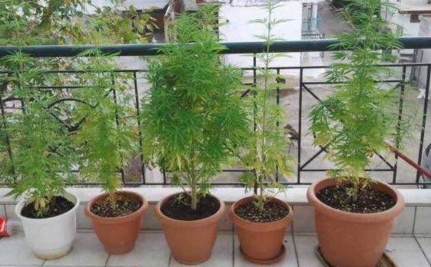 Δουλειές με «φούντες» 49χρονου στο Κιλκίς