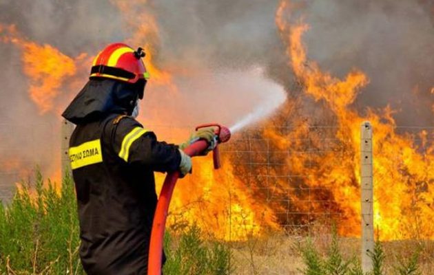 Κίνδυνος εκδήλωσης πυρκαγιάς – Σε επιφυλακή η Πυροσβεστική